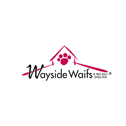wayside_waifs myredvest